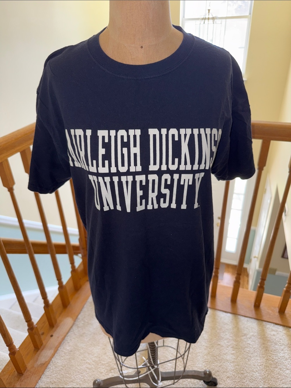 Champion Navy Farleigh Dickinson University Text